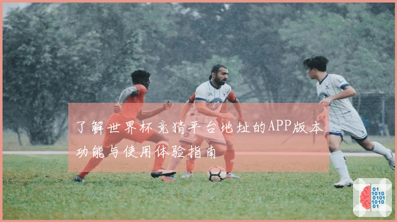 了解世界杯竞猜平台地址的APP版本功能与使用体验指南