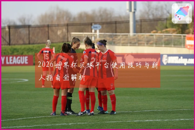 2026世界杯买球平台使用技巧与新人指南全解析