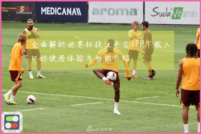 全面解析世界杯投注平台APP下载入口的使用体验与功能介绍