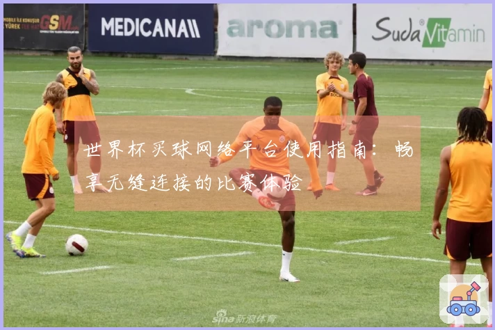 世界杯买球网络平台使用指南:畅享无缝连接的比赛体验