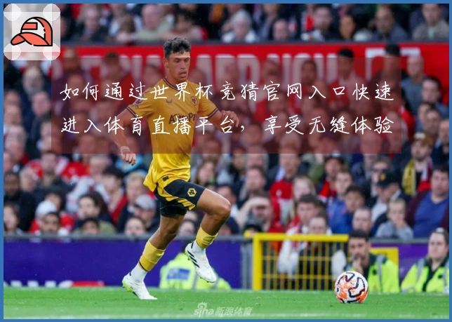 如何通过世界杯竞猜官网入口快速进入体育直播平台，享受无缝体验