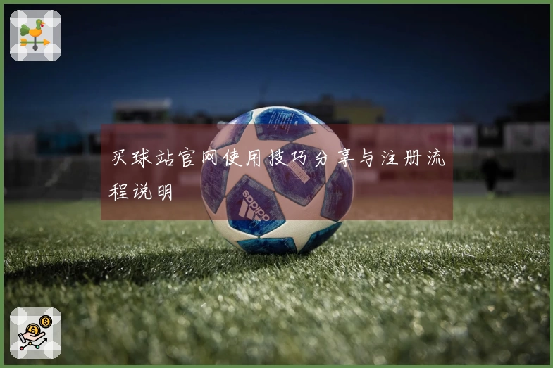 买球站官网使用技巧分享与注册流程说明