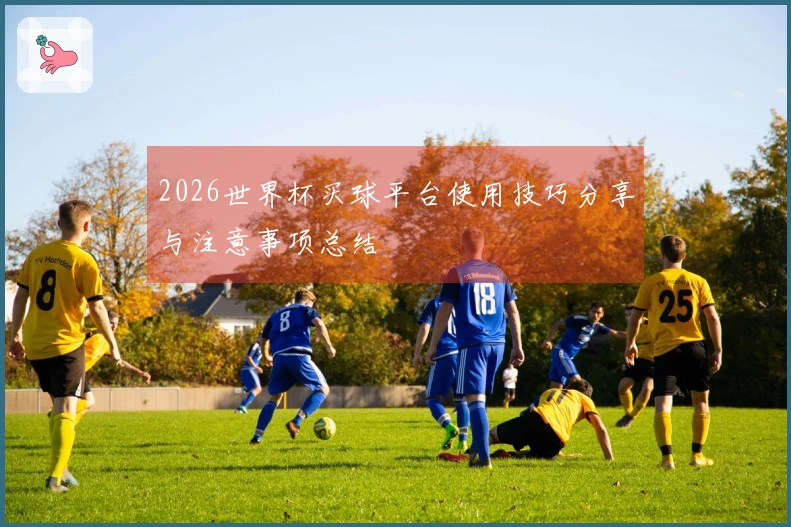 2026世界杯买球平台使用技巧分享与注意事项总结
