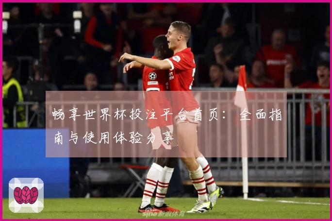 畅享世界杯投注平台首页：全面指南与使用体验分享
