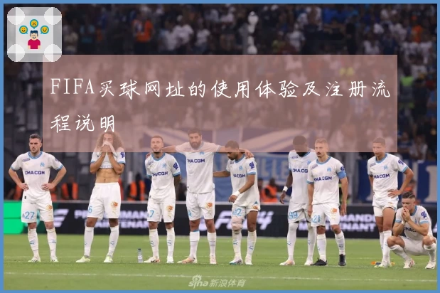 FIFA买球网址的使用体验及注册流程说明