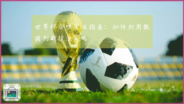 世界杯合理下注指南：如何利用数据判断投注策略