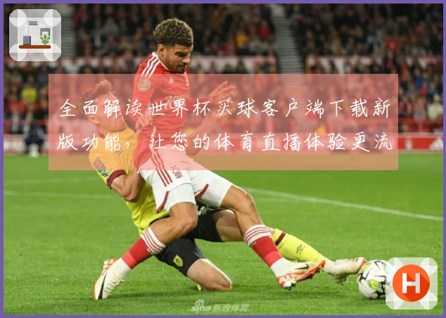 全面解读世界杯买球客户端下载新版功能，让您的体育直播体验更流畅
