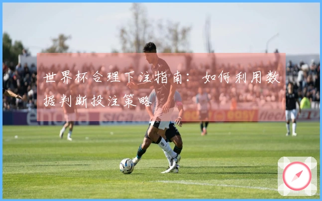 世界杯合理下注指南：如何利用数据判断投注策略