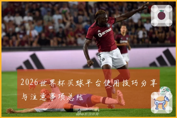2026世界杯买球平台使用技巧分享与注意事项总结