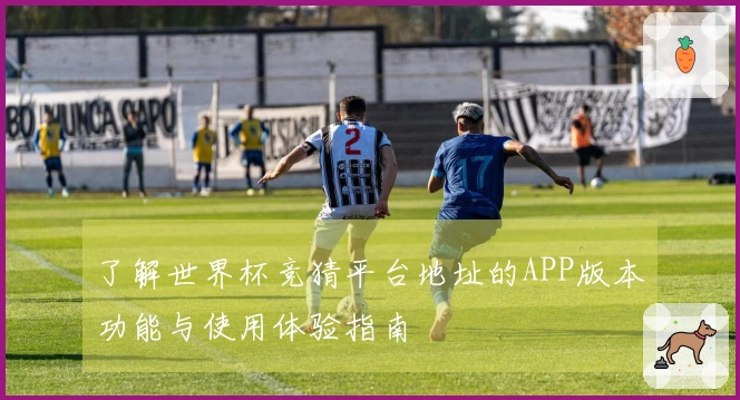了解世界杯竞猜平台地址的APP版本功能与使用体验指南