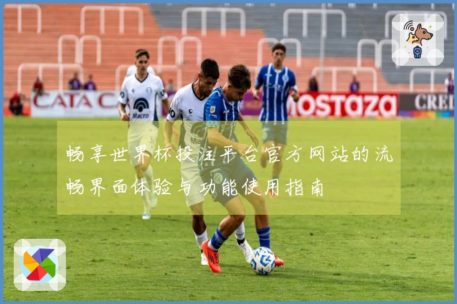 畅享世界杯投注平台官方网站的流畅界面体验与功能使用指南