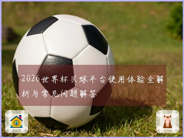 2026世界杯买球平台使用体验全解析与常见问题解答