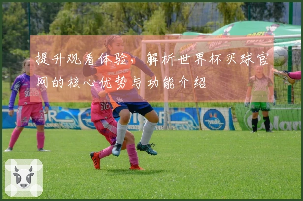 提升观看体验，解析世界杯买球官网的核心优势与功能介绍