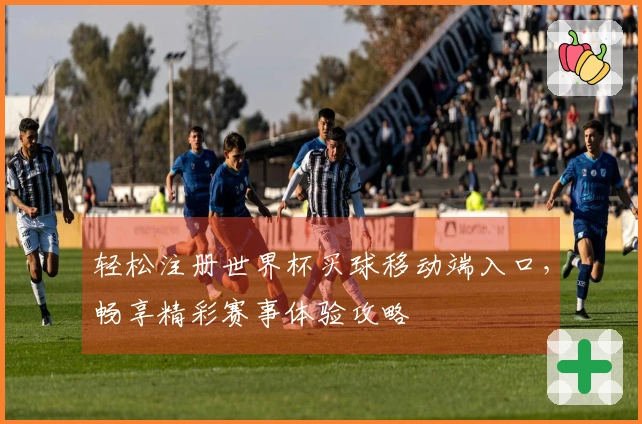 轻松注册世界杯买球移动端入口，畅享精彩赛事体验攻略