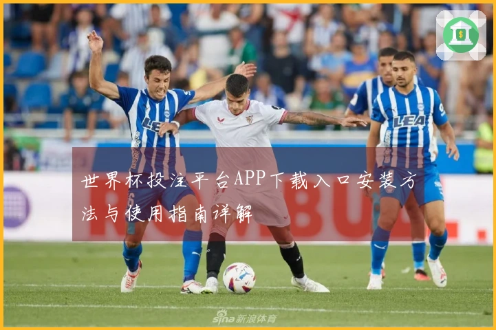 世界杯投注平台APP下载入口安装方法与使用指南详解
