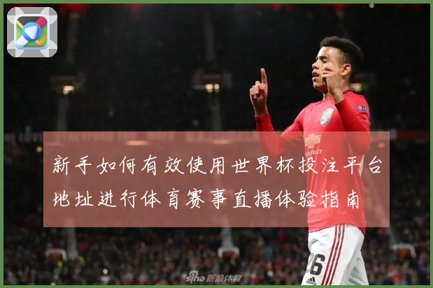 新手如何有效使用世界杯投注平台地址进行体育赛事直播体验指南