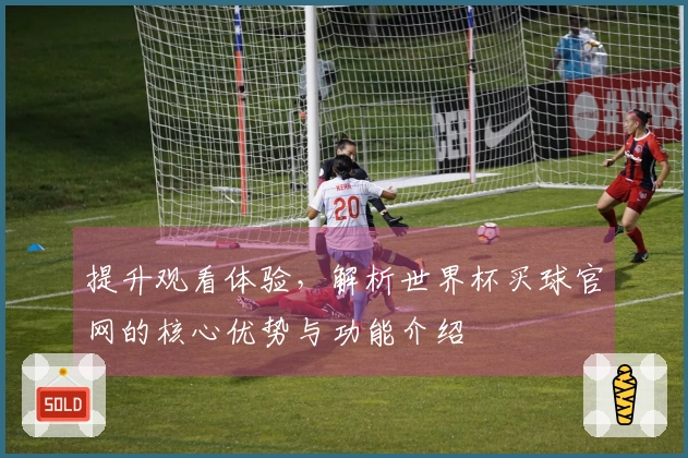 提升观看体验，解析世界杯买球官网的核心优势与功能介绍