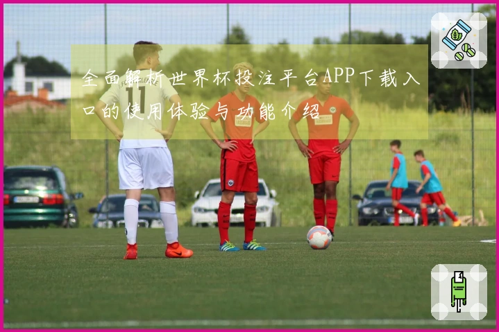 全面解析世界杯投注平台APP下载入口的使用体验与功能介绍